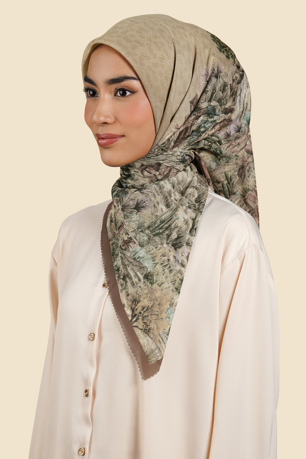 Canyon Series - Dessert Taupe