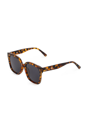 Hadley Sunglasess - Brown